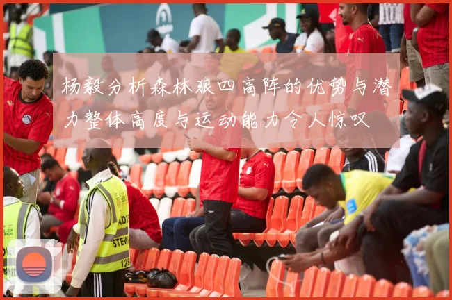 杨毅分析森林狼四高阵的优势与潜力整体高度与运动能力令人惊叹