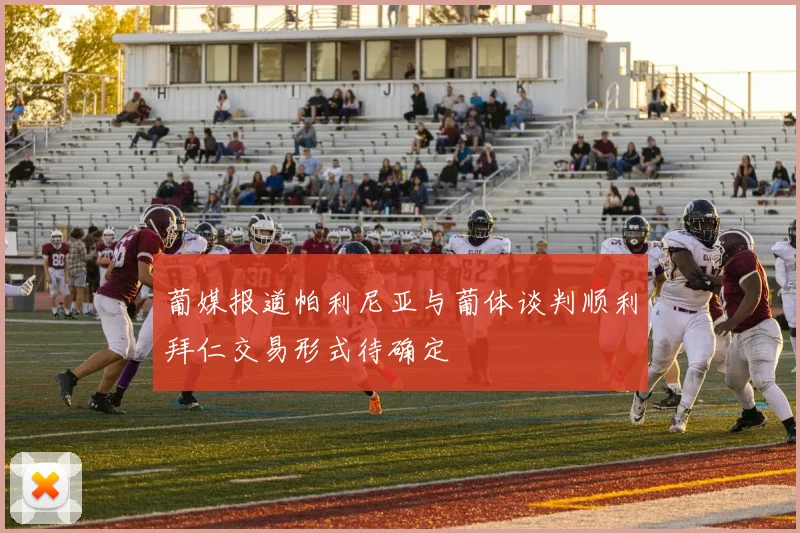 葡媒报道帕利尼亚与葡体谈判顺利拜仁交易形式待确定