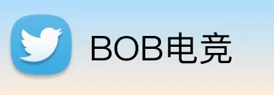 BOB电竞 Logo